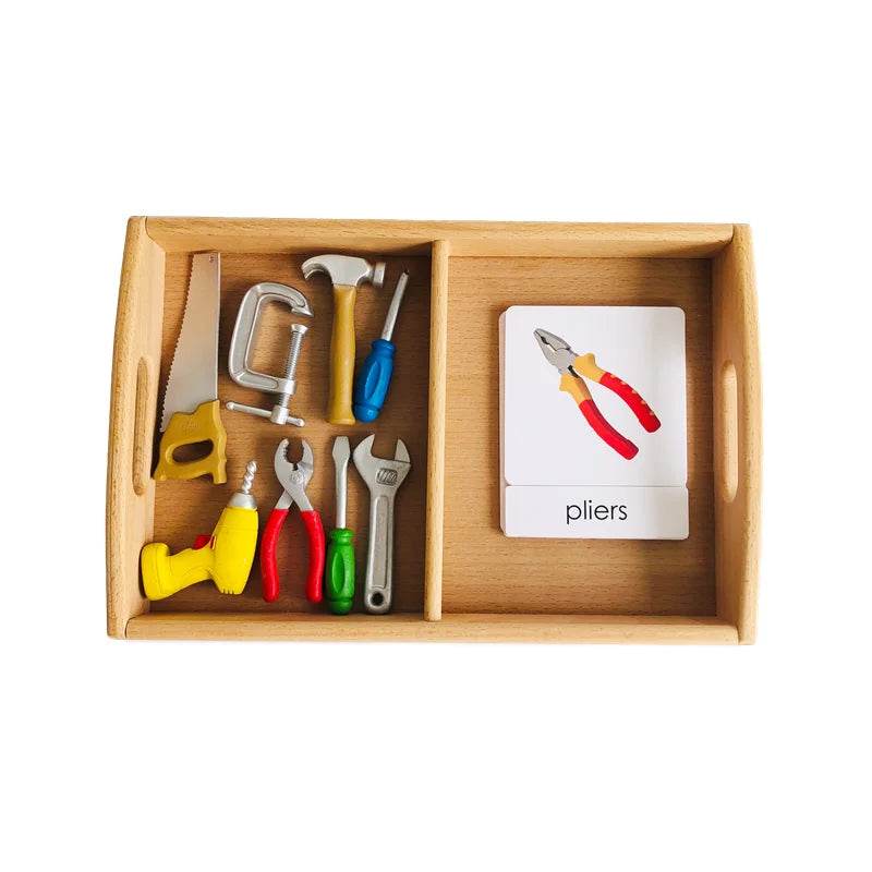 Montessori Language Materials Models of Human Organ Handware Tool Instrument Flower W 3-Part Cards Kids Learning Resources - ToylandEU