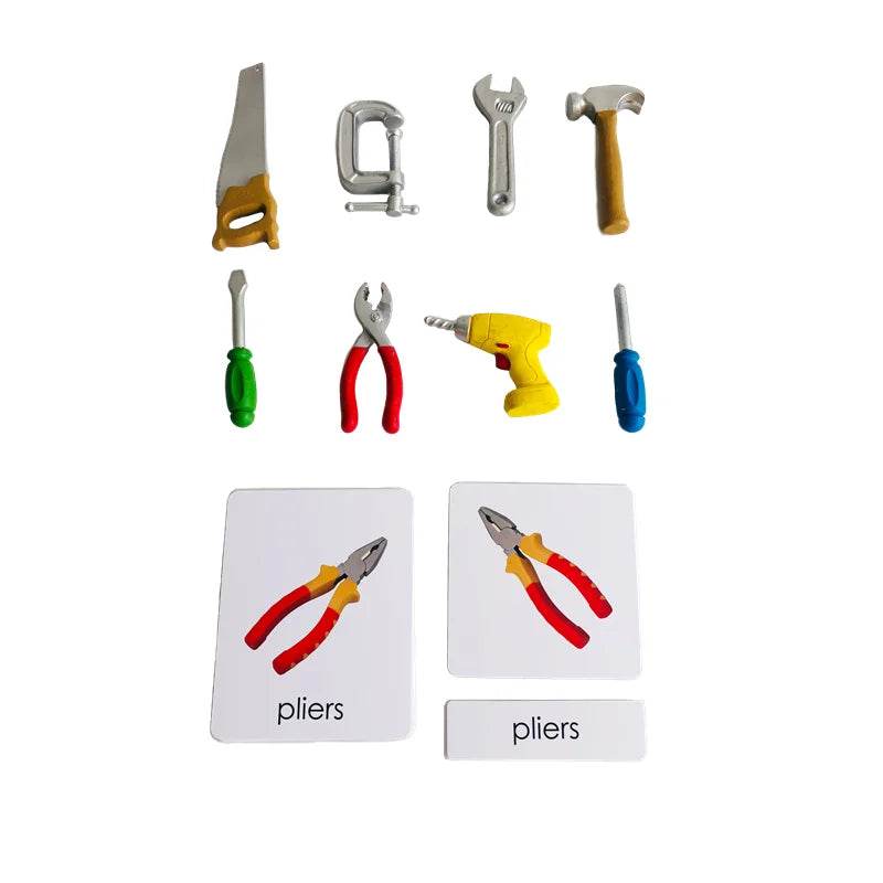 Montessori Language Materials Models of Human Organ Handware Tool Instrument Flower W 3-Part Cards Kids Learning Resources - ToylandEU