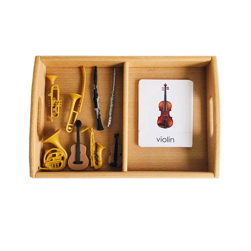 Montessori Language Materials Models of Human Organ Handware Tool Instrument Flower W 3-Part Cards Kids Learning Resources - ToylandEU