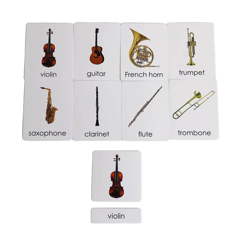 Montessori Language Materials Models of Human Organ Handware Tool Instrument Flower W 3-Part Cards Kids Learning Resources - ToylandEU