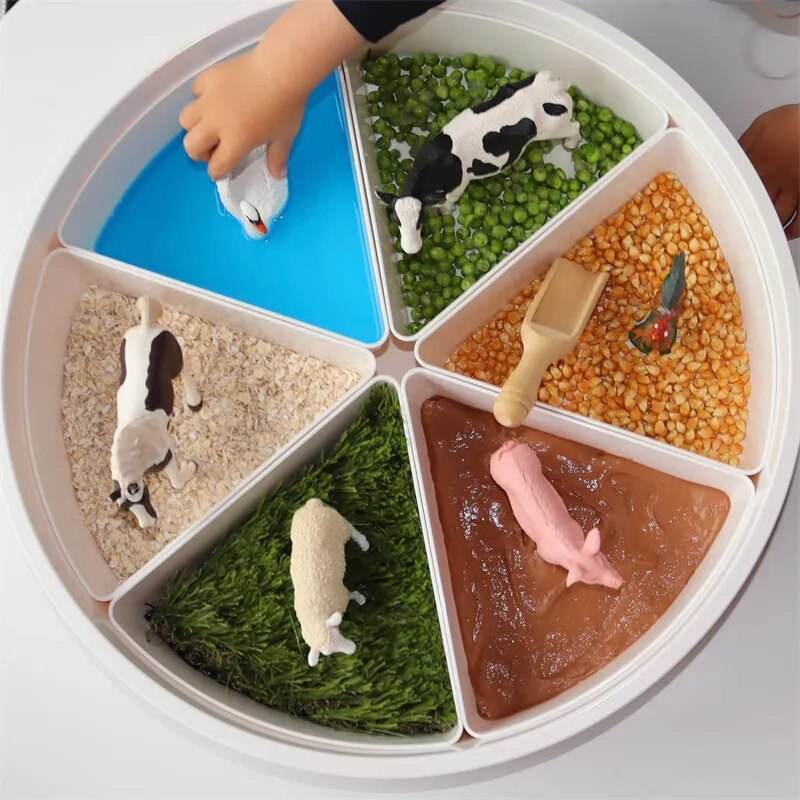 Montessori Ocean & Farm Sensory Play Tray for Kids with Autism - ToylandEU