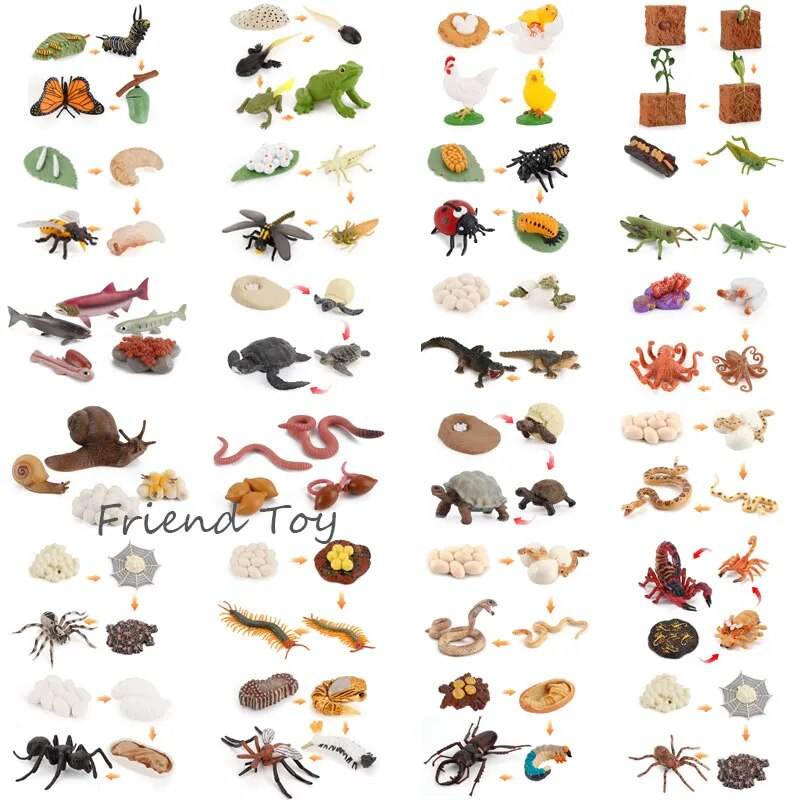 Montessori Ocean & Farm Sensory Play Tray for Kids with Autism - ToylandEU