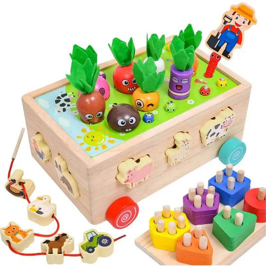 Montessori Shape Matching Carrot Toy for Early Learning and Fun - ToylandEU