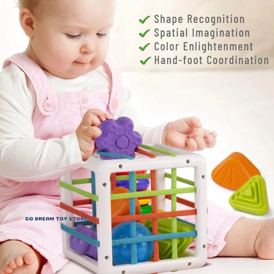 Baby Montessori Toy 2 Years Shape Sorter Sensory Sorting Toys for Kids Educational and Motor Skills - ToylandEU