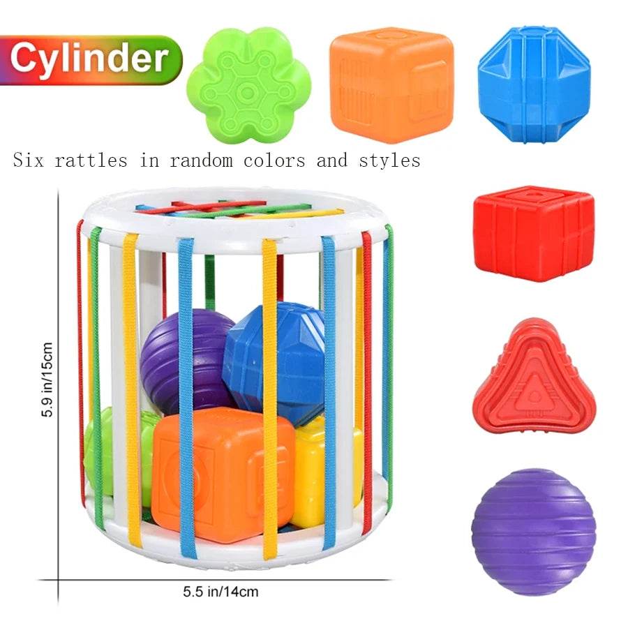 Baby Montessori Toy 2 Years Shape Sorter Sensory Sorting Toys for Kids Educational and Motor Skills - ToylandEU