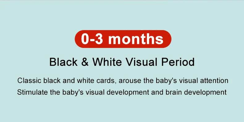 Baby Visual Stimulation Cards Montessori High Contrast Flash Card Infant Gift For Children Cognition Toy - ToylandEU