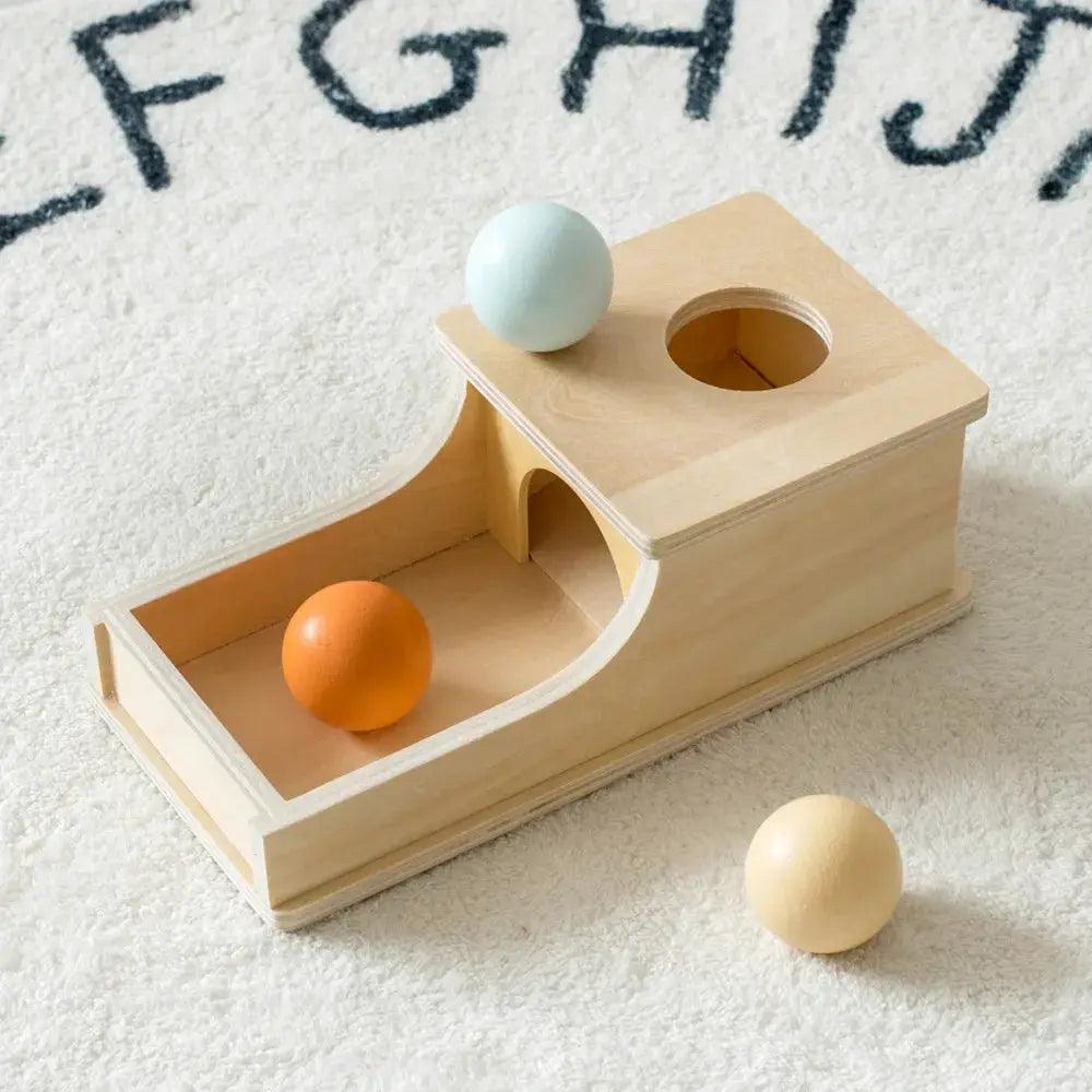  Montessori Wooden Infant Toys Ball Drop For Color Shape -  ToylandEU™