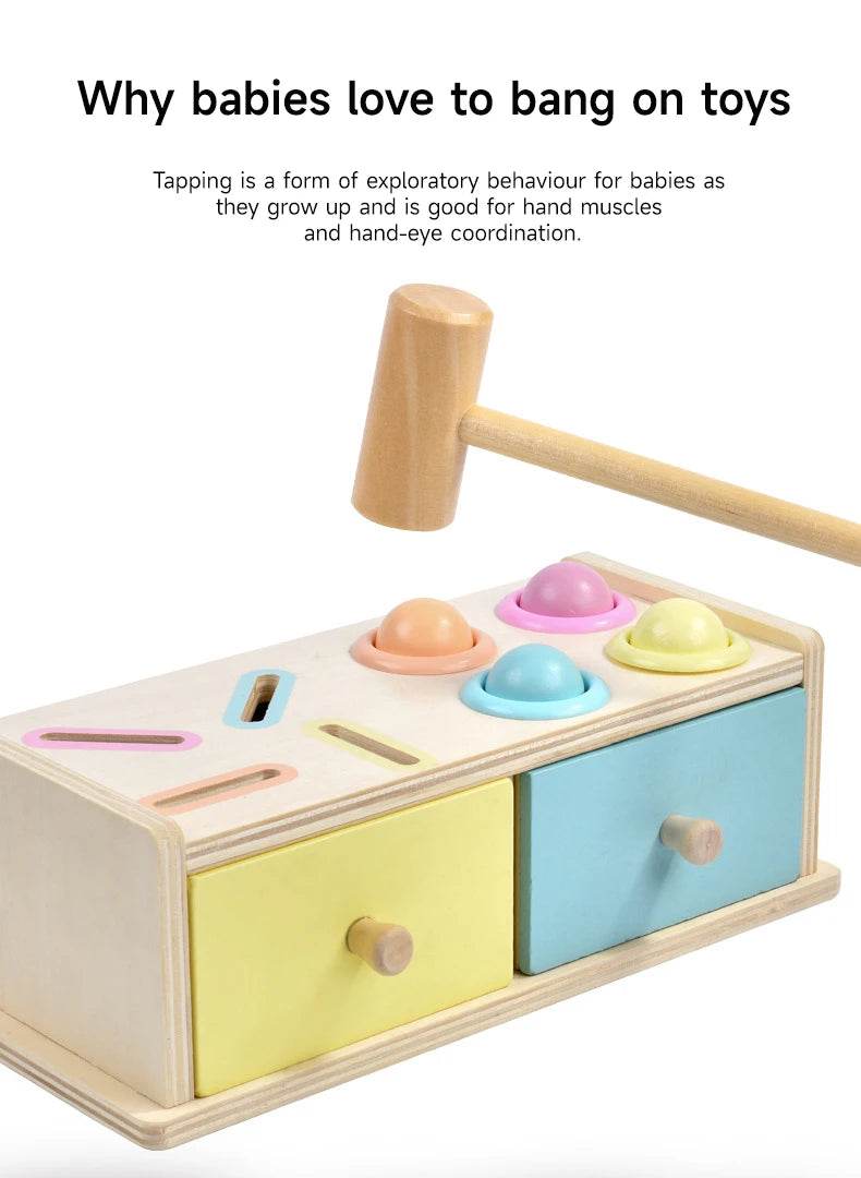 Montessori Wooden Multifunction Toys Color Spinning Coin Box Children Puzzle Sensory Early Education Game Toys Gift - ToylandEU