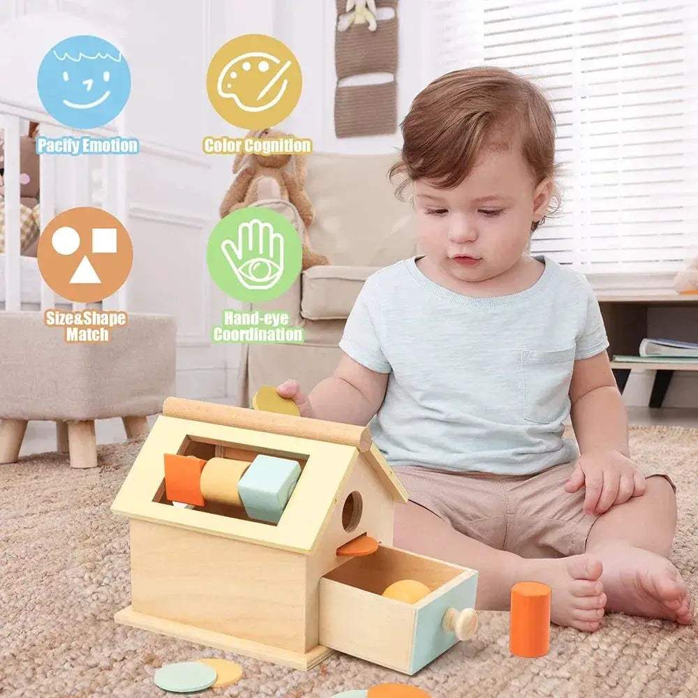 Montessori Wooden Toy 5 In 1 Object Permanence Box - ToylandEU