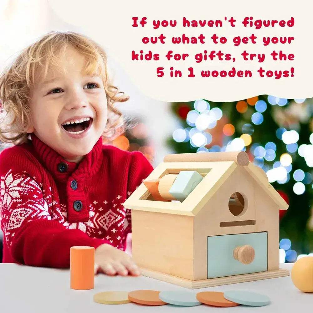 Montessori Wooden Toy 5 In 1 Object Permanence Box - ToylandEU
