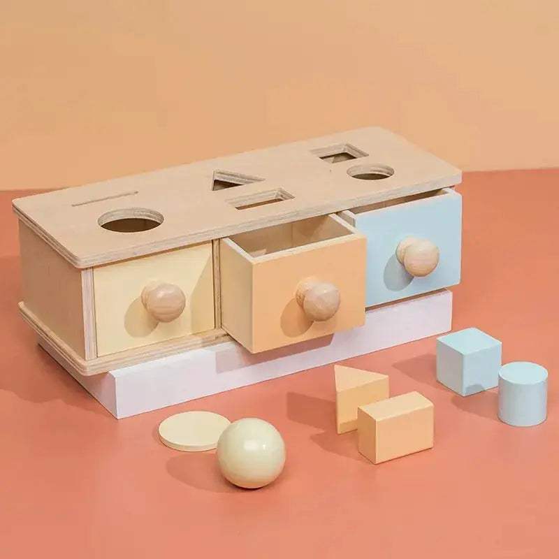 Montessori Wooden Toy 5 In 1 Object Permanence Box - ToylandEU