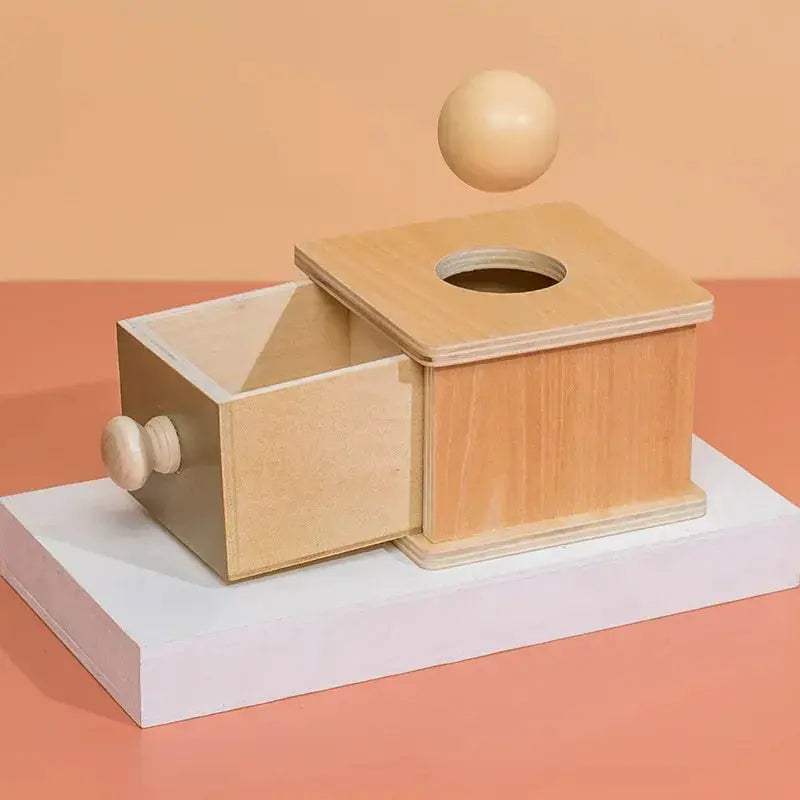 Montessori Wooden Toy 5 In 1 Object Permanence Box - ToylandEU