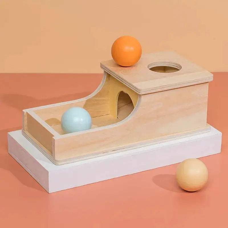 Montessori Wooden Toy 5 In 1 Object Permanence Box - ToylandEU