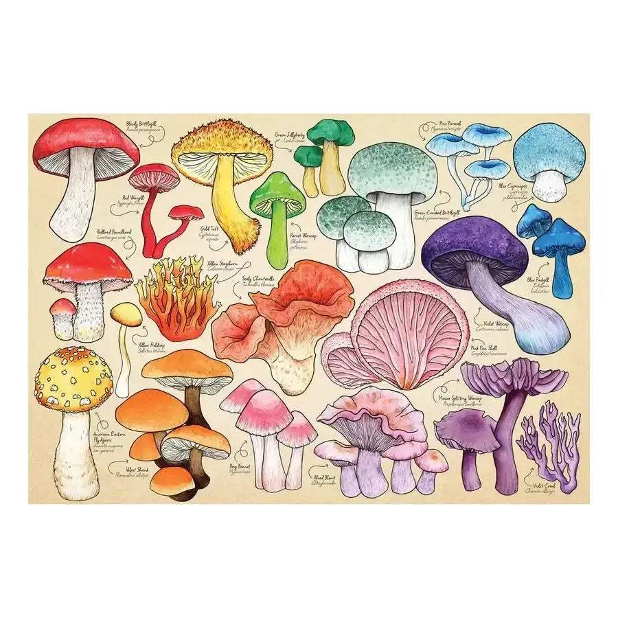 Mushroom Mania 1000 Piece Jigsaw Puzzle House Of Puzzles - ToylandEU