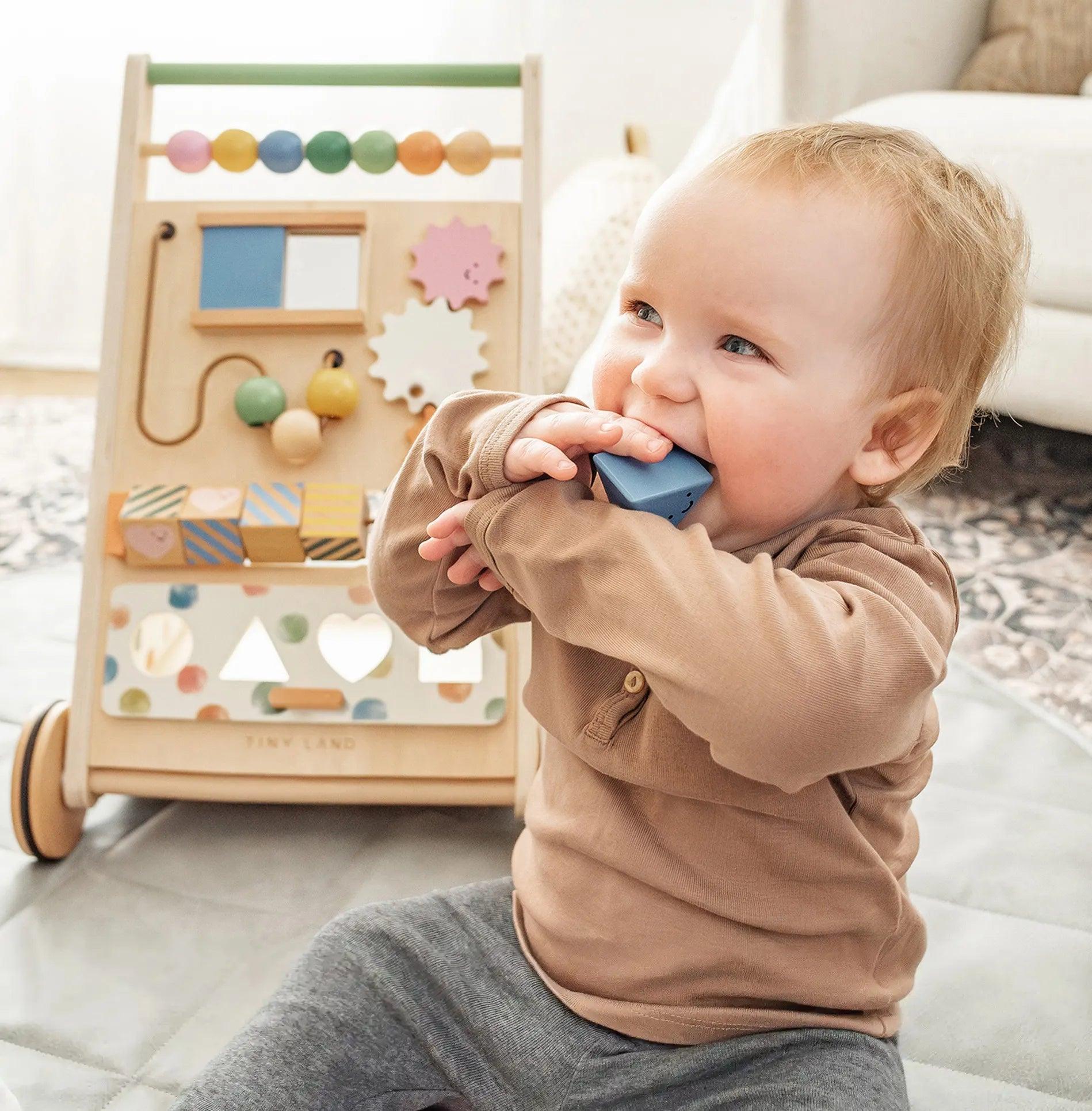 Natural Wooden Baby Walker Tiny Land Versatile Design