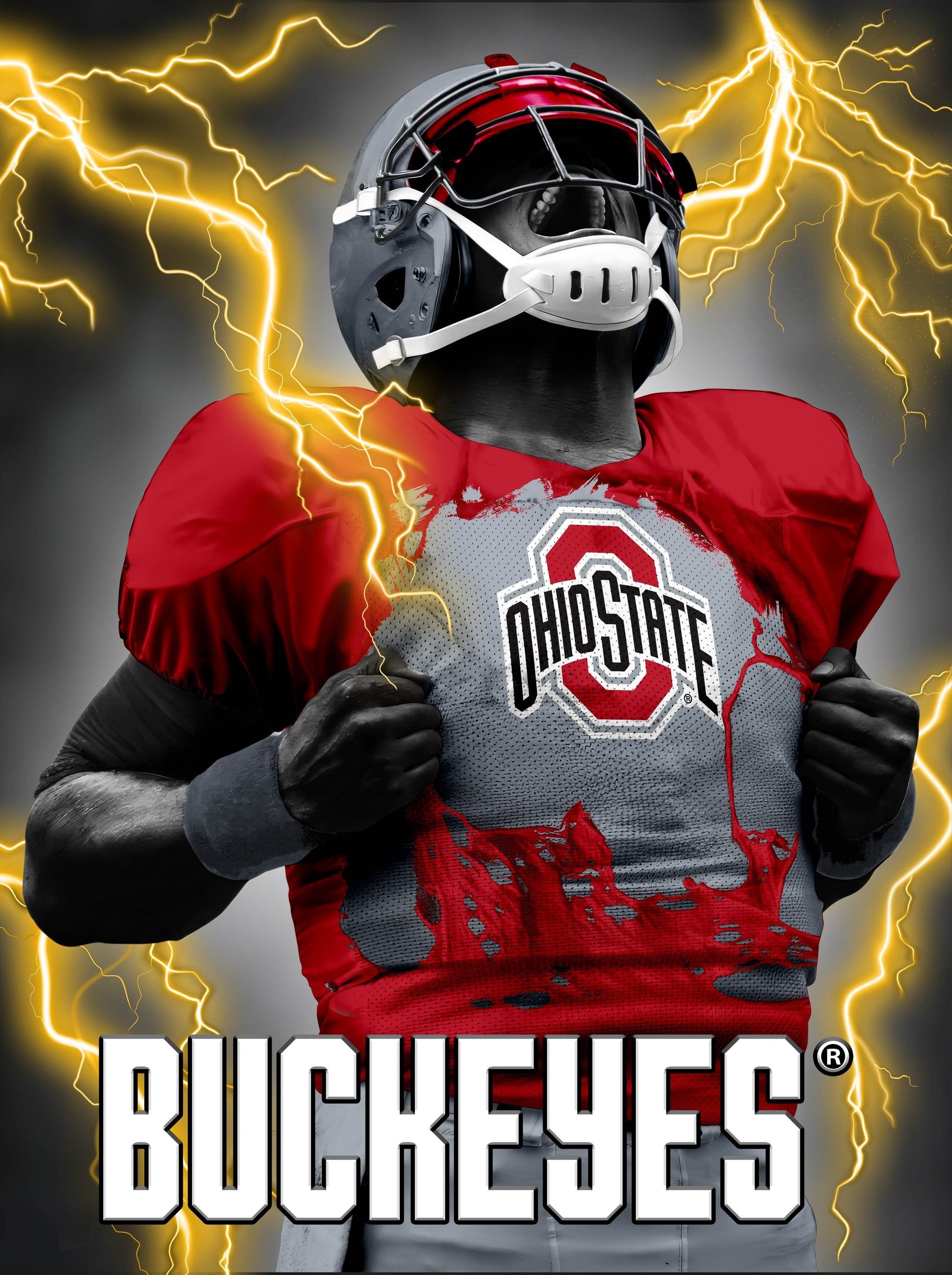 Ohio State Buckeyes 3D Art Print Lenticular 12x16 Premium - ToylandEU