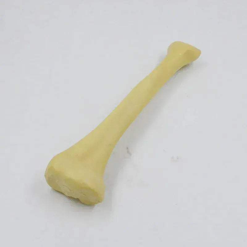 One To One Human Skeleton Anatomy Model For Medical Teaching - ToylandEU