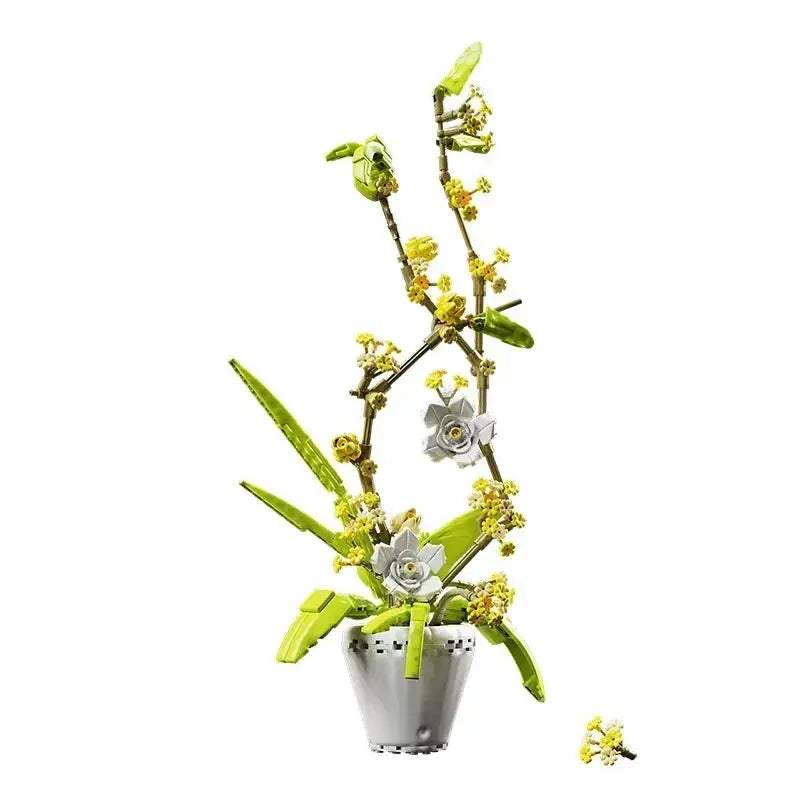 Orchid Bonsai DIY Flower Kit for Gifts and Aromatherapy - ToylandEU