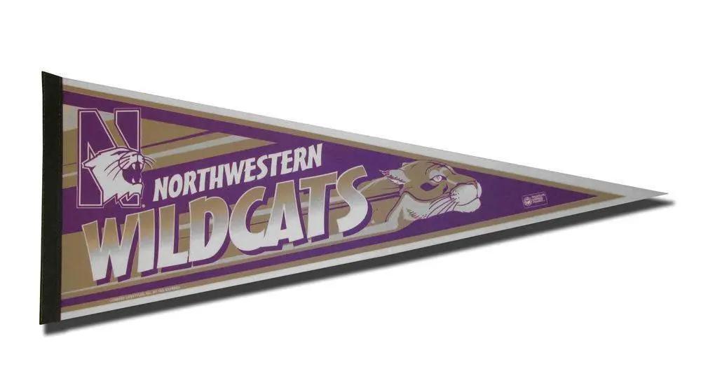  Northwestern Wildcats Pennant 12x30 Carded Rico -  ToylandEU™