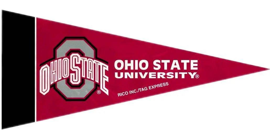  Ohio State Buckeyes Pennant Set Mini 8 Piece -  ToylandEU™