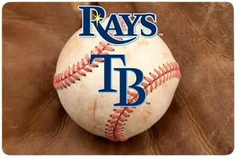  Tampa Bay Rays Pet Bowl Mat Baseball Size Large Gamewear -  ToylandEU™