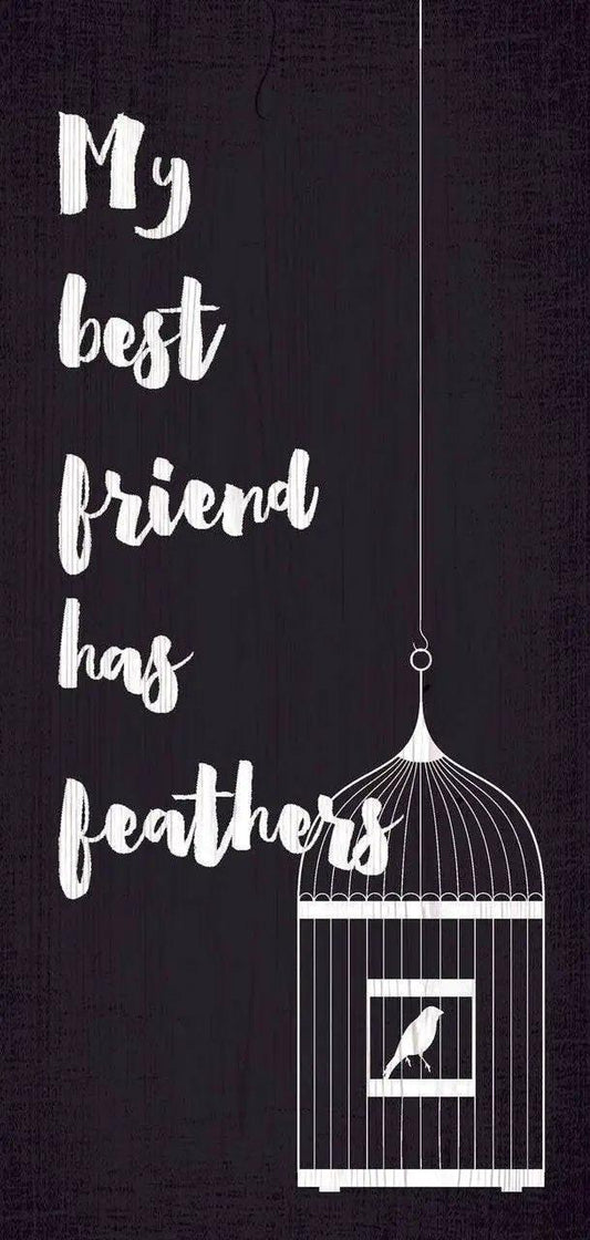  Pet Sign Wood My Best Friend Has Feathers 5x10 Inch -  ToylandEU™