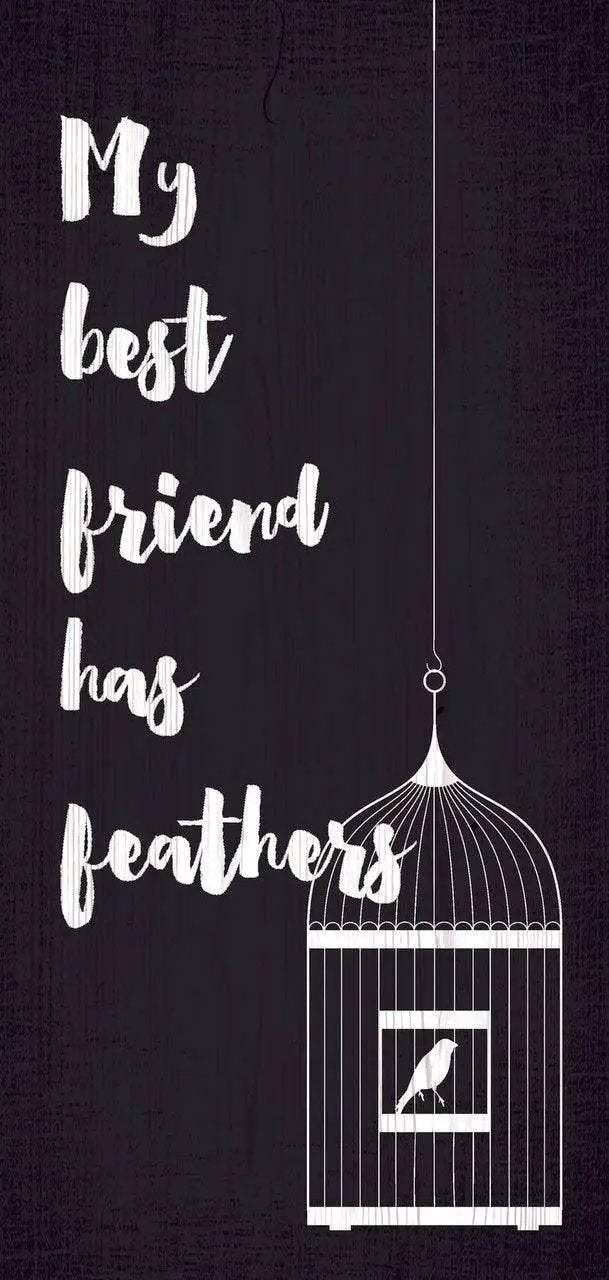  Pet Sign Wood My Best Friend Has Feathers 5x10 Inch -  ToylandEU™
