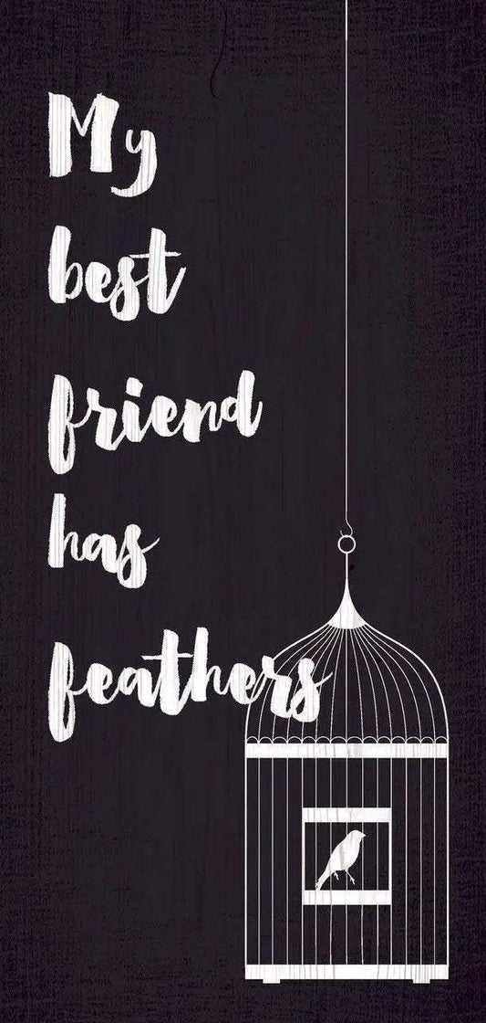  Pet Sign Wood My Best Friend Has Feathers 5x10 Inch -  ToylandEU™