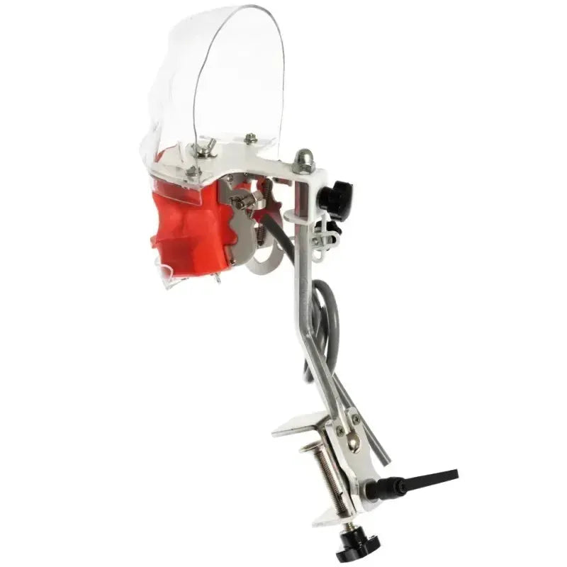 Phantom Head Typodont Dental Training Model 28 32 Teeth - ToylandEU