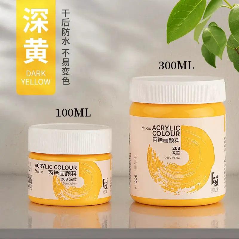  Phoenix Acrylic Paint Matte Finish Waterproof 300ml -  ToylandEU™