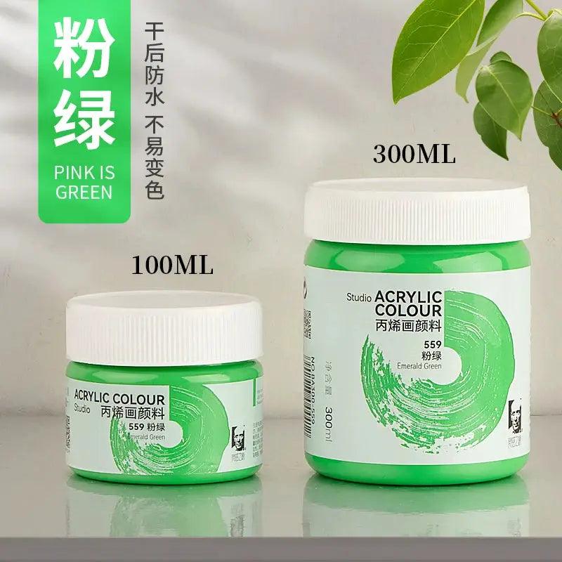  Phoenix Acrylic Paint Matte Finish Waterproof 300ml -  ToylandEU™