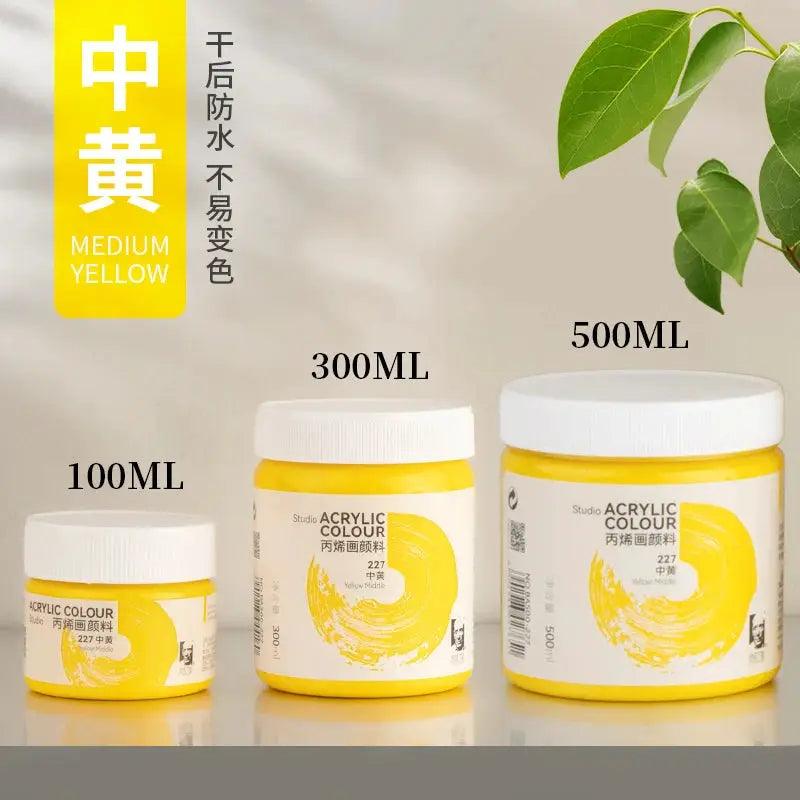  Phoenix Acrylic Paint Matte Finish Waterproof 300ml -  ToylandEU™