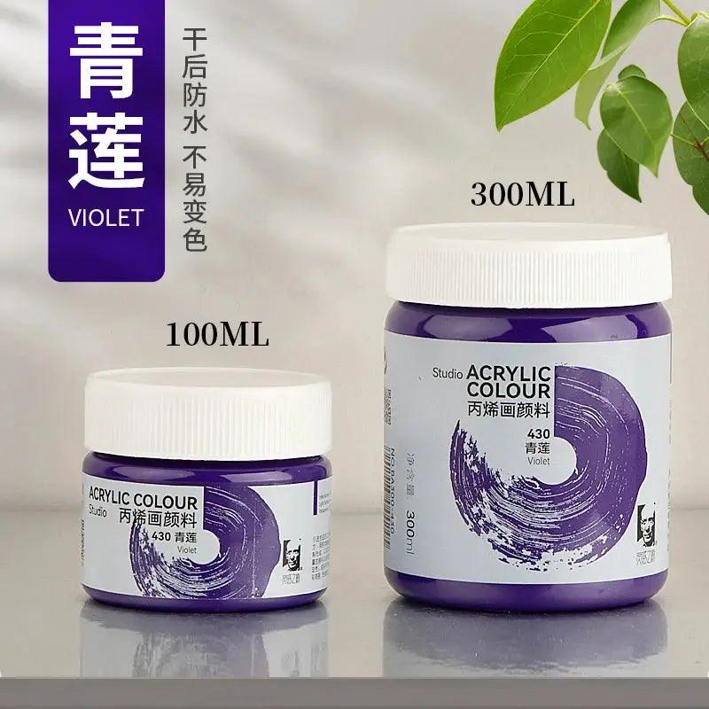  Phoenix Acrylic Paint Matte Finish Waterproof 300ml -  ToylandEU™