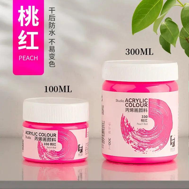  Phoenix Acrylic Paint Matte Finish Waterproof 300ml -  ToylandEU™