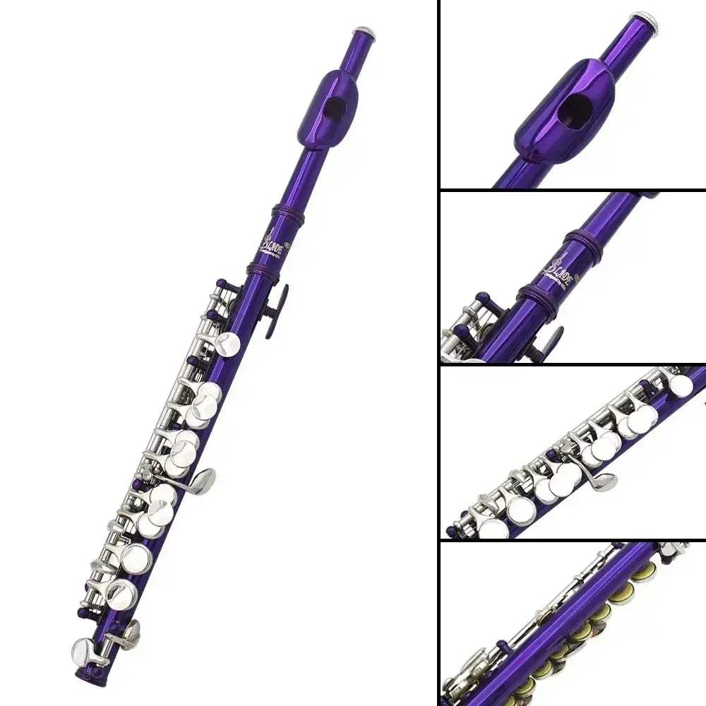 Piccolo Woodwind 16 Holes In C Key With Accessories - ToylandEU