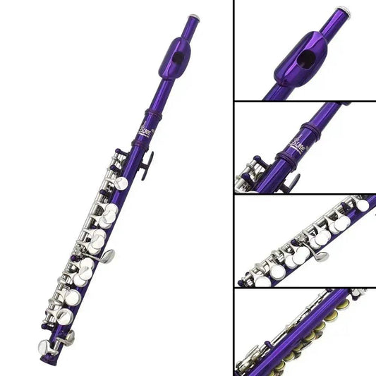  Piccolo Woodwind 16 Holes In C Key With Accessories -  ToylandEU™