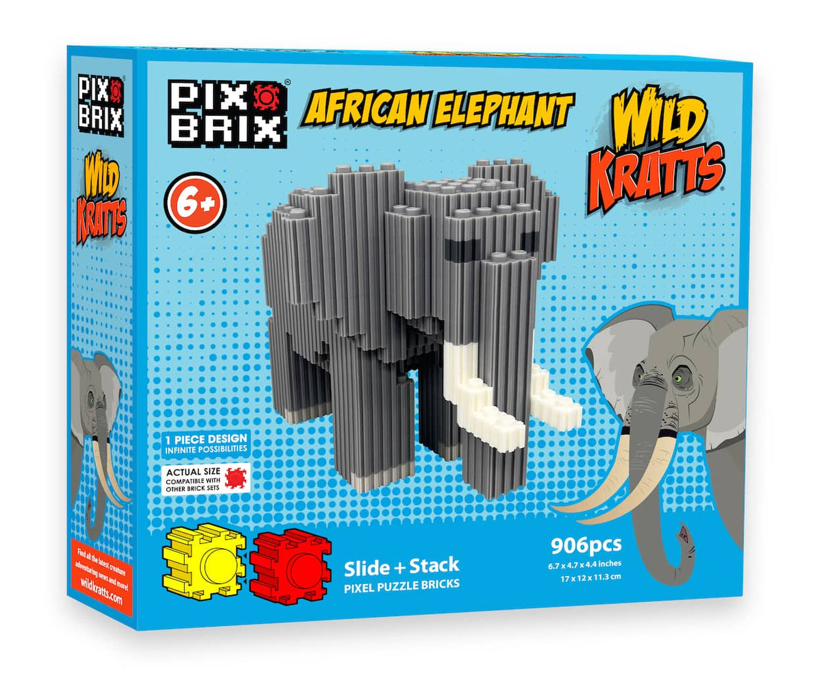 Pixel Building Bricks | Patented 2D & 3D Builds | Toylandeu™
