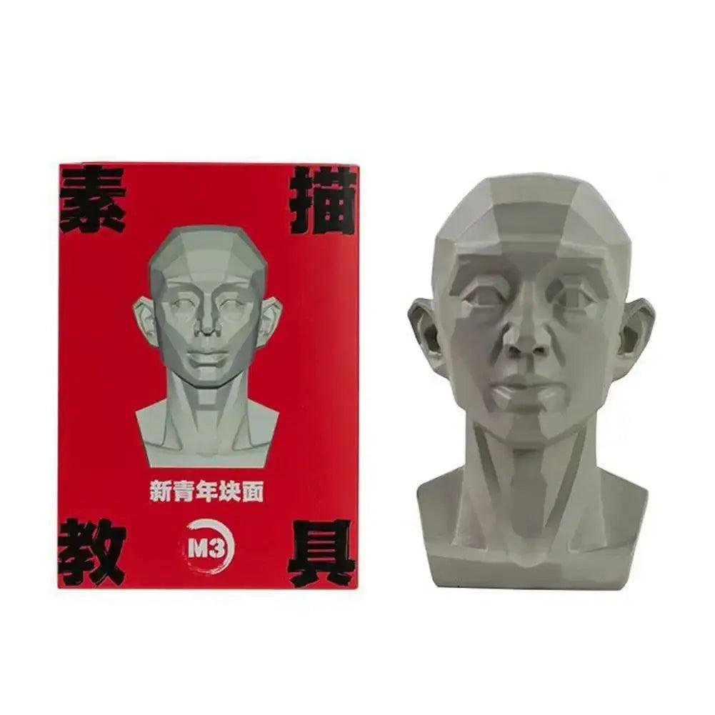  Planar Head Sketch Model For Art Anatomy Teaching Aid -  ToylandEU™