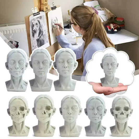  Planar Head Sketch Model For Art Anatomy Teaching Aid -  ToylandEU™