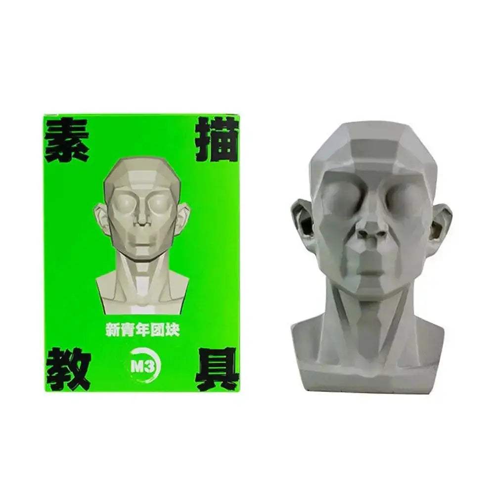 Planar Head Sketch Model for Art Anatomy Learning and Teaching - ToylandEU