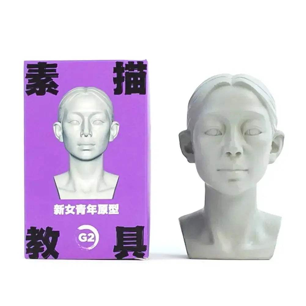 Planar Head Sketch Model for Art Anatomy Learning and Teaching - ToylandEU