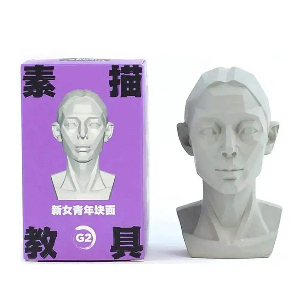 Planar Head Sketch Model for Art Anatomy Learning and Teaching - ToylandEU