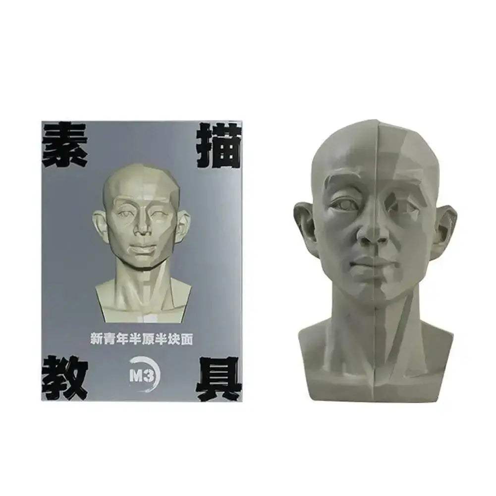 Planar Head Sketch Model for Art Anatomy Learning and Teaching - ToylandEU