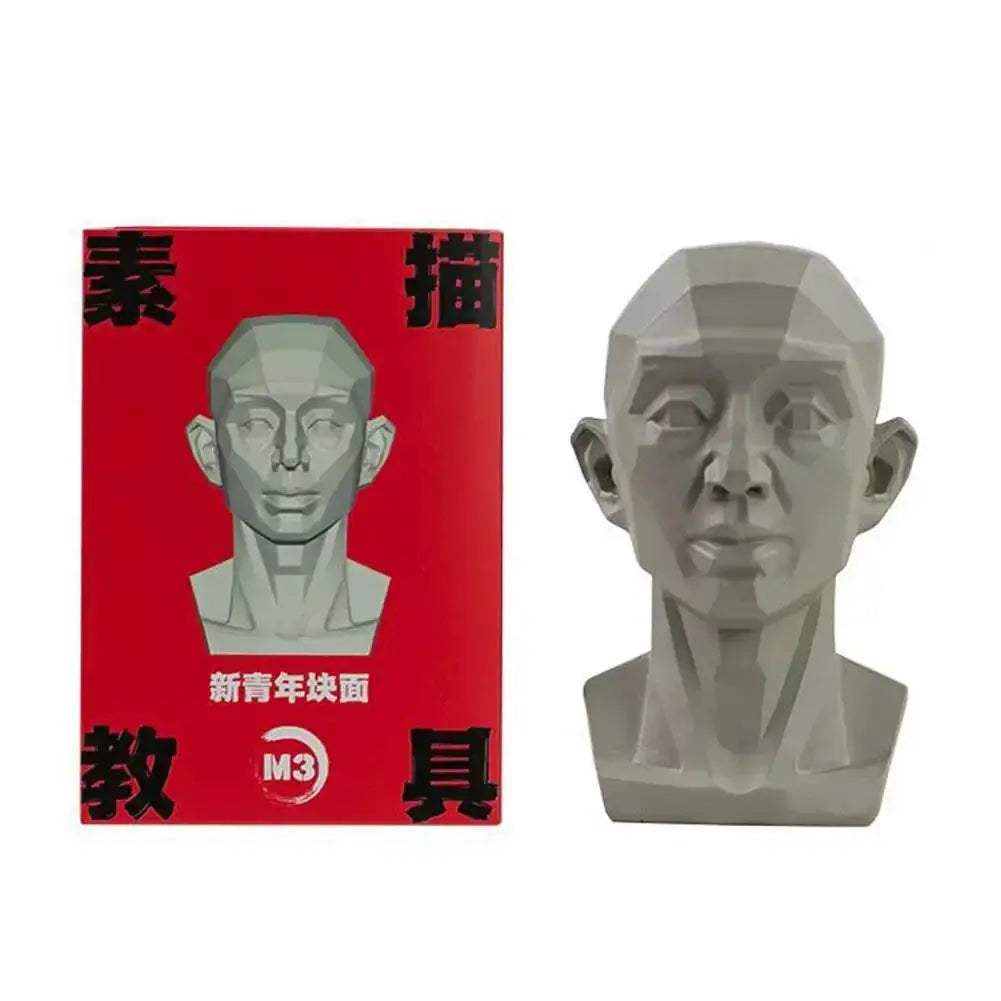 Planar Head Sketch Model for Art Anatomy Learning and Teaching - ToylandEU
