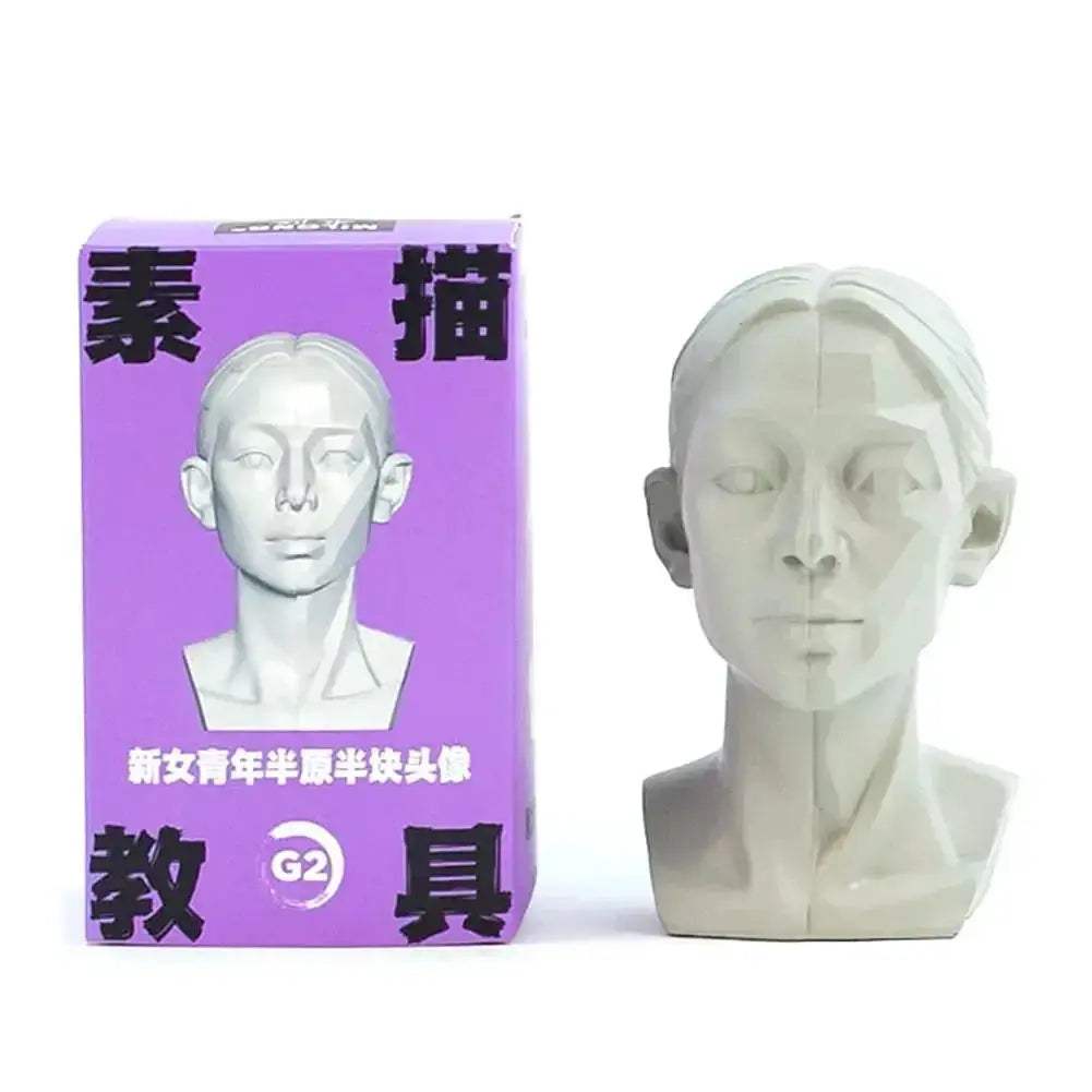 Planar Head Sketch Model for Art Anatomy Learning and Teaching - ToylandEU