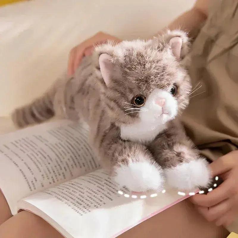  Plush Cat Toy Realistic Soft Five Color Kitten Gift -  ToylandEU™