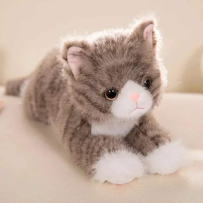  Plush Cat Toy Realistic Soft Five Color Kitten Gift -  ToylandEU™