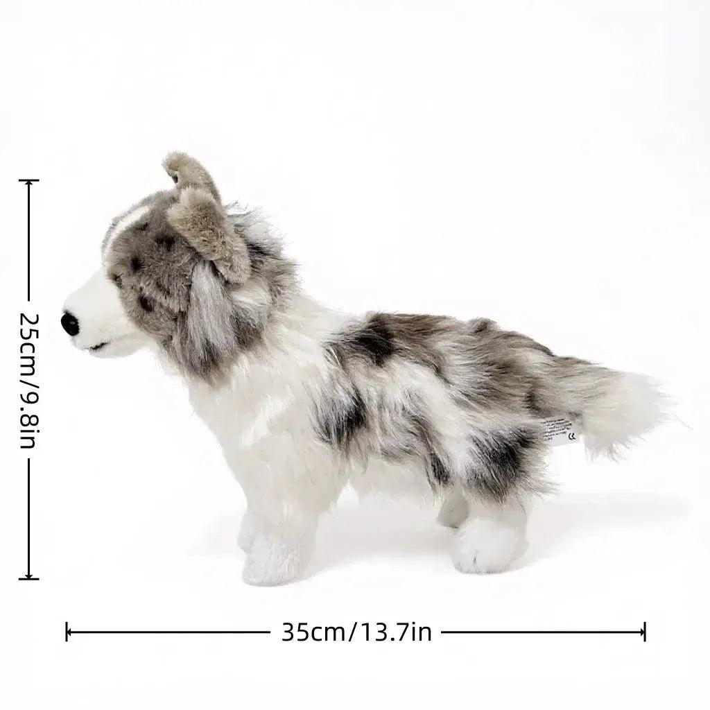  Realistic Border Collie Plush Toy Soft Huggable Playmate -  ToylandEU™