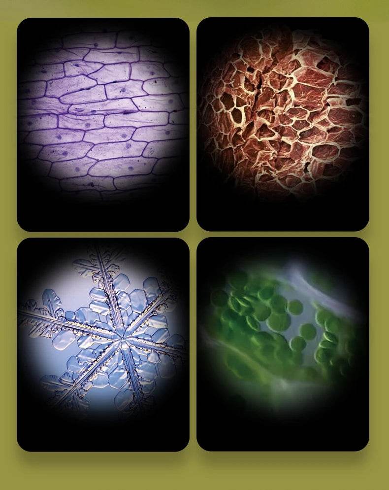 Pocket Microscope Kids Science Toy Kit 60-120x Mini Handheld Microscope with LED Light - ToylandEU