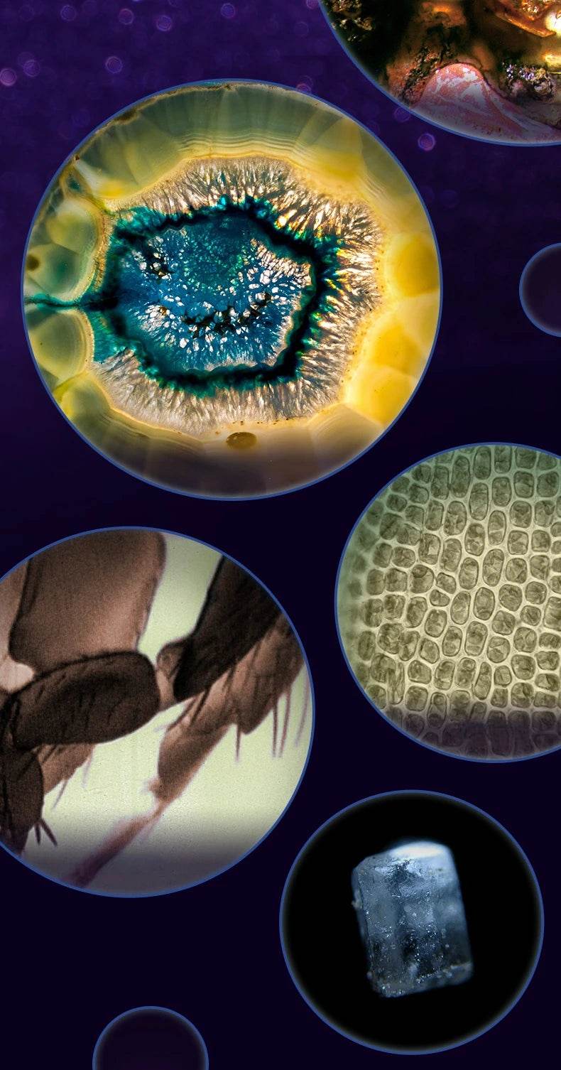 Pocket Microscope Kids Science Toy Kit 60-120x Mini Handheld Microscope with LED Light - ToylandEU